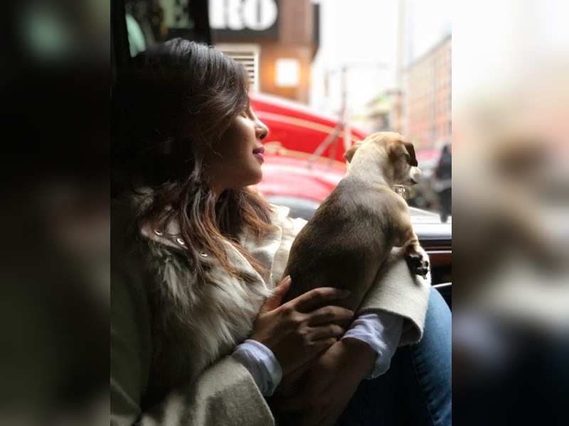 Pic: Priyanka Chopra's day out with her pooch Diana in New York