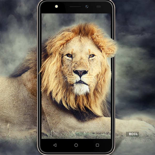 Intex launches Aqua Lions T1 Lite smartphone Photogallery - ETimes