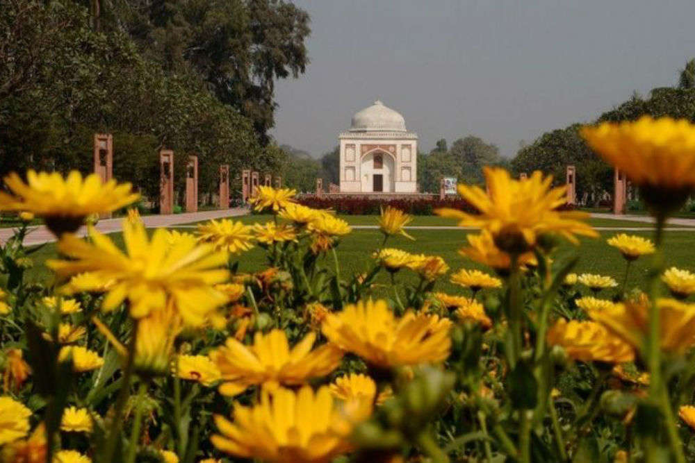 Mughal Garden Opens Up Mughal Garden In Delhi Reopens As A