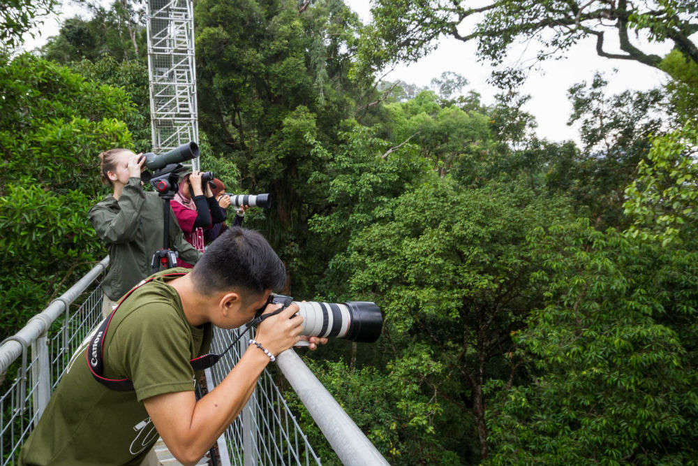 Brunei : eco-Tourism: Ulu Temburong National Park is providing