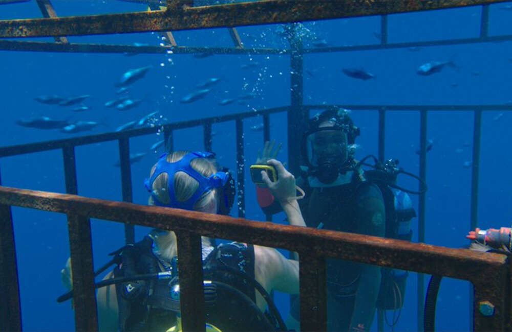 47-Meters-Down3