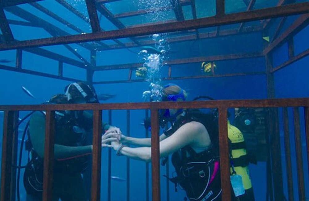 47-Meters-Down
