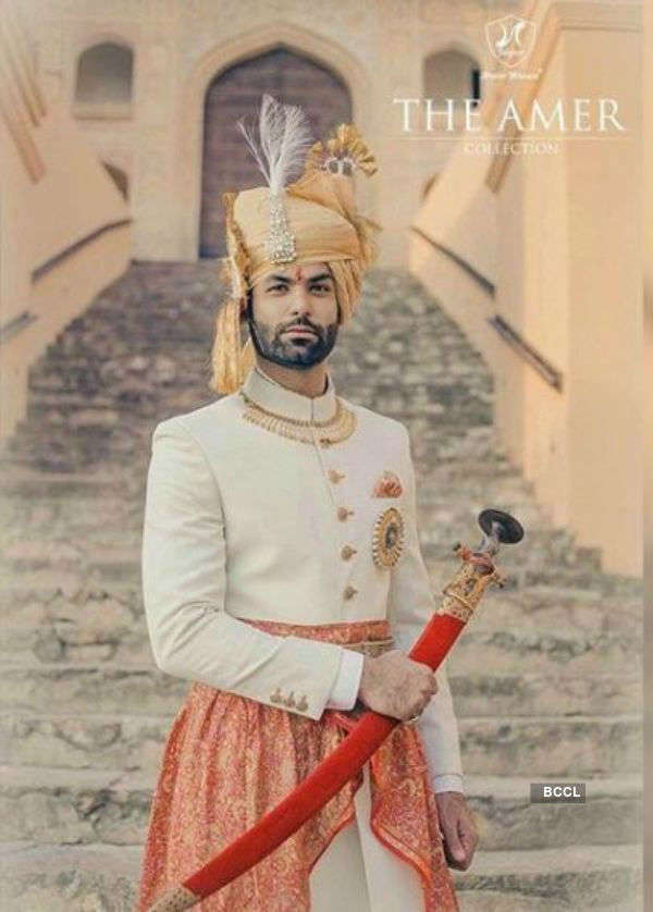 Mr. Indias who went royal