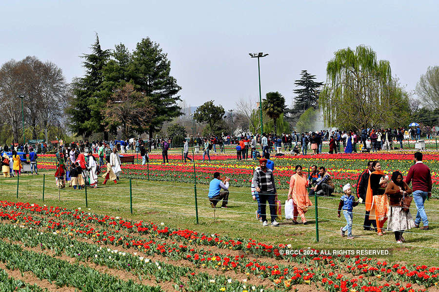 Tulip Garden in Srinagar thrown open for visitors