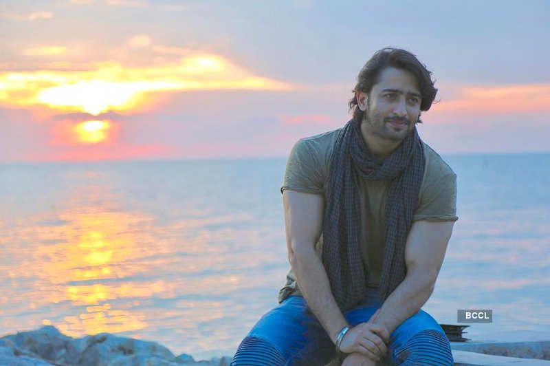 Is Shaheer Sheikh engaged? This is what the actor said