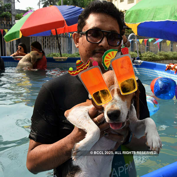 Saptrishi and Bigloo