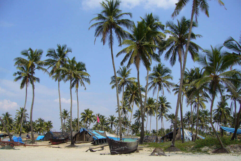 Colva Beach The Only Beach To Be Selected Under Iconic