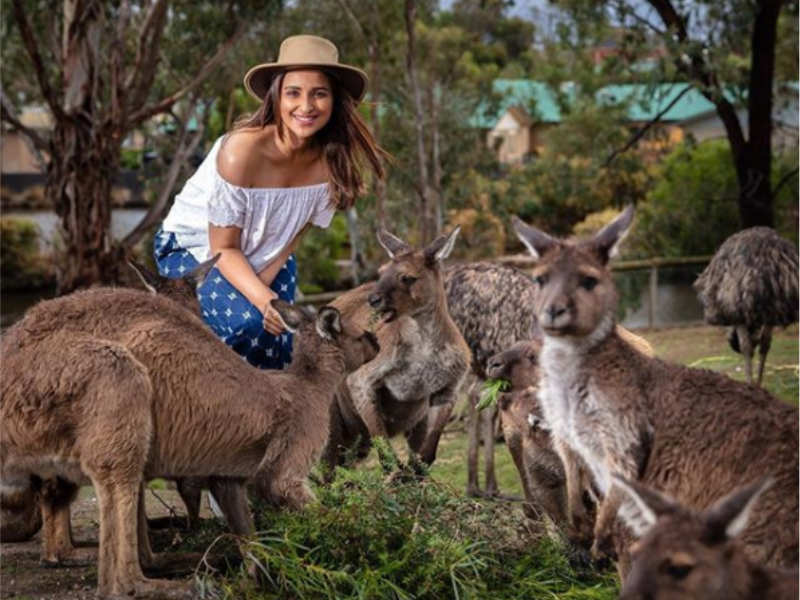 Pic: Parineeti Chopra's picture straight from Australia will make you envy her