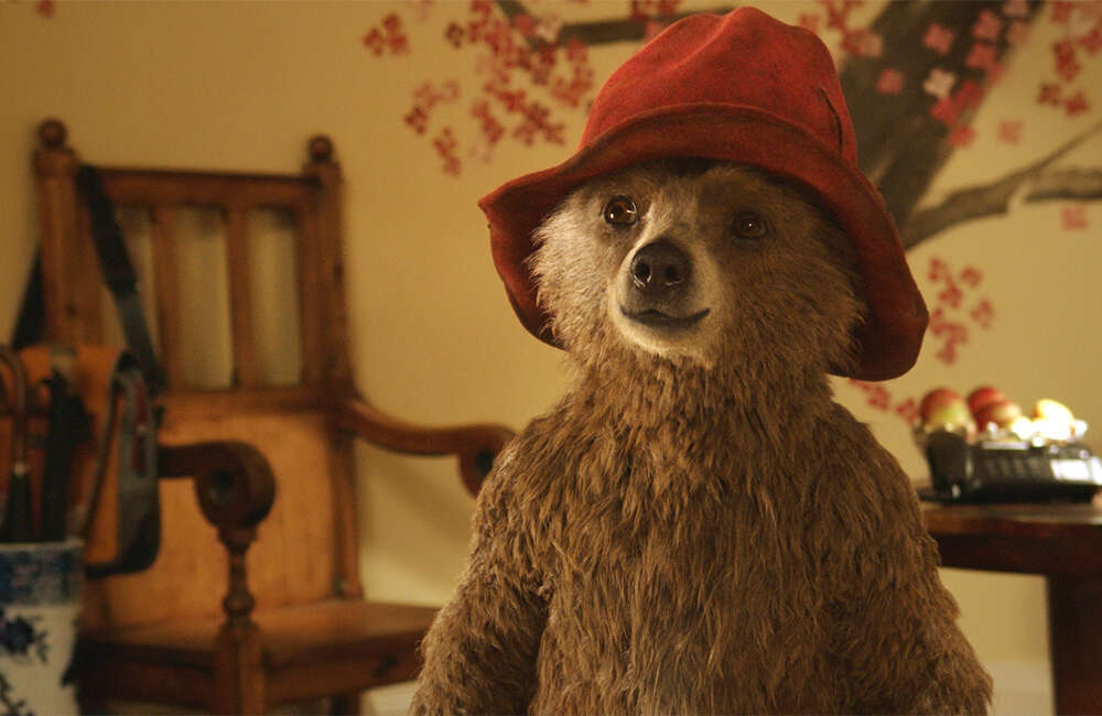 Paddington4