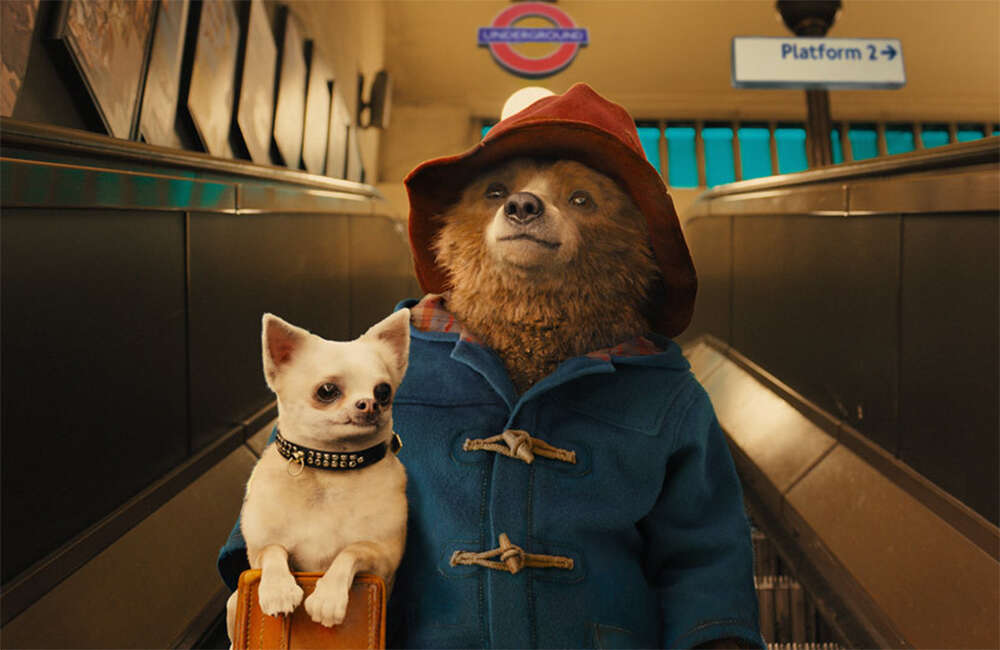 Paddington3