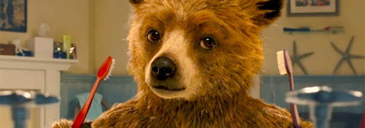 PaddingtonDB