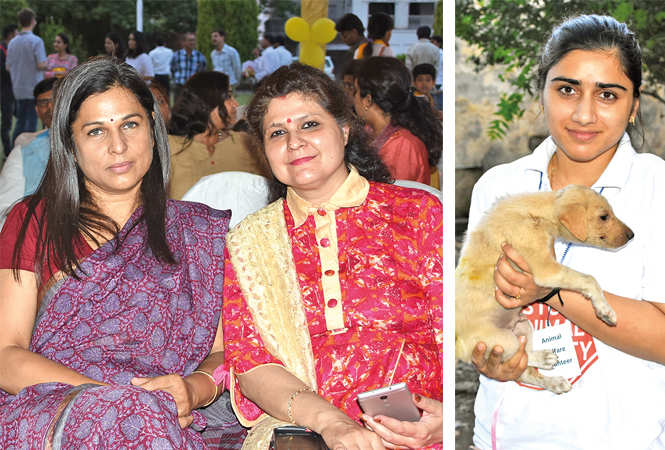 When Indie dogs had their day in Lucknow | Events Movie News - Times of