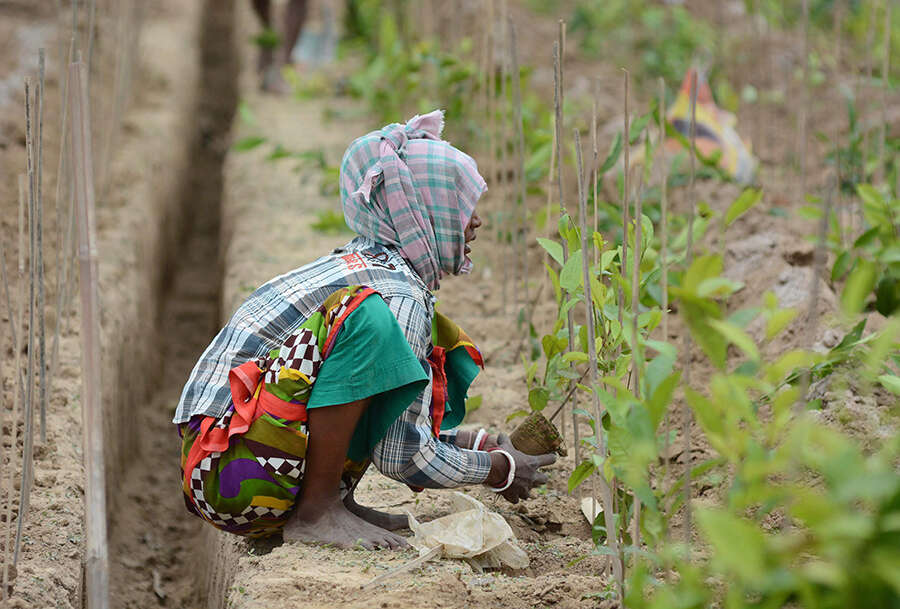 World commemorates International Workers&rsquo; Day