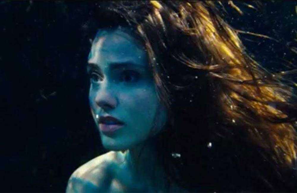 merm4