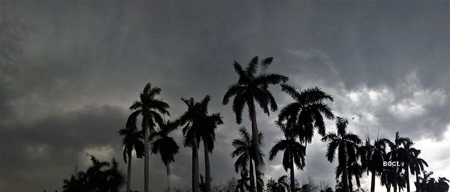 Rains lash Chandigarh amid dust storm alert