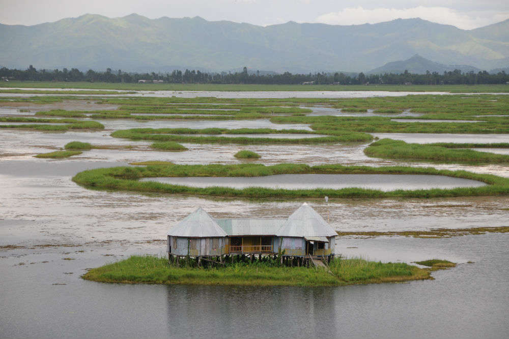 Image result for Loktak Lake, Manipur