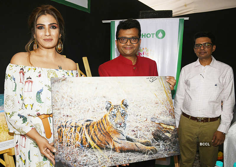 Celebs at a wildlife photography exhibition