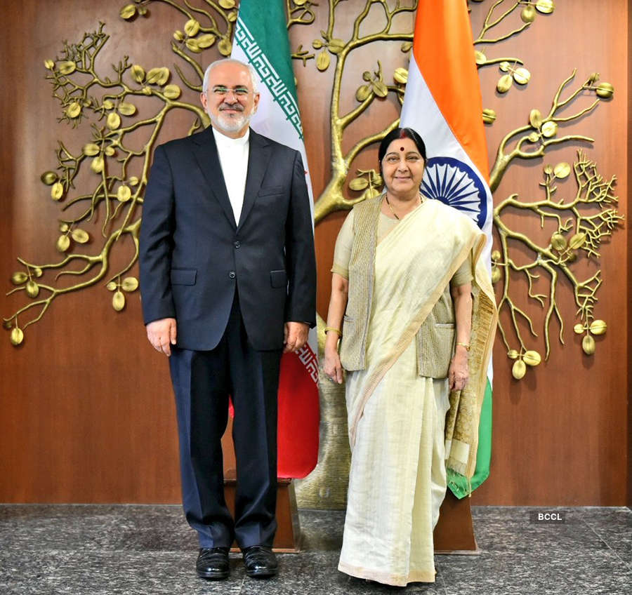 Sushma Swaraj holds bilateral talks with Javad Zarif