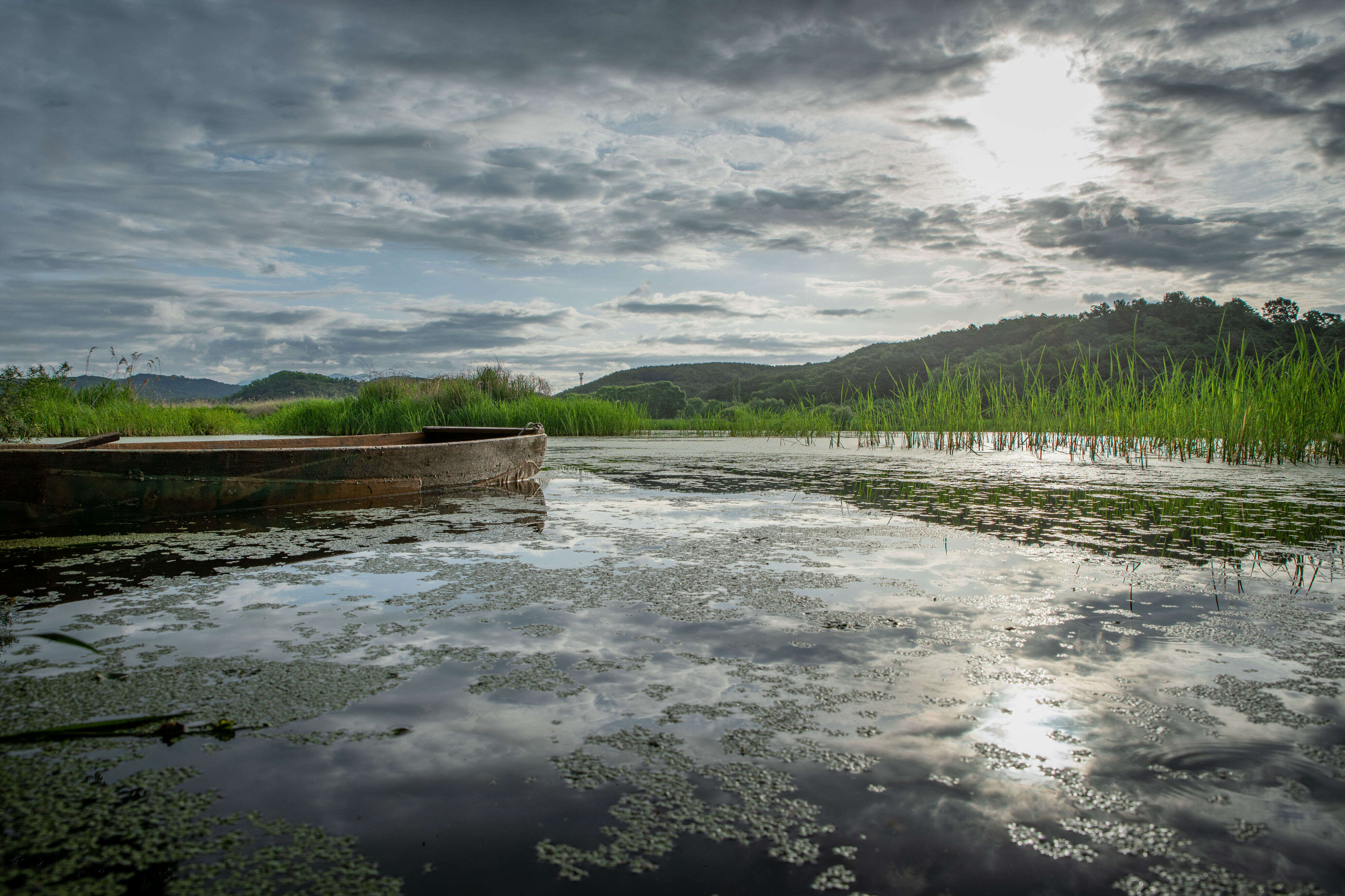 World Environment Day - four Indian wetlands protected ...