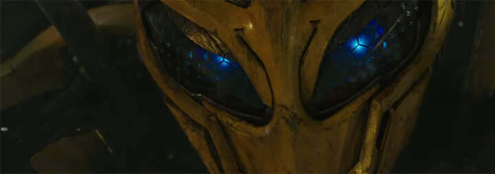 bub.banner