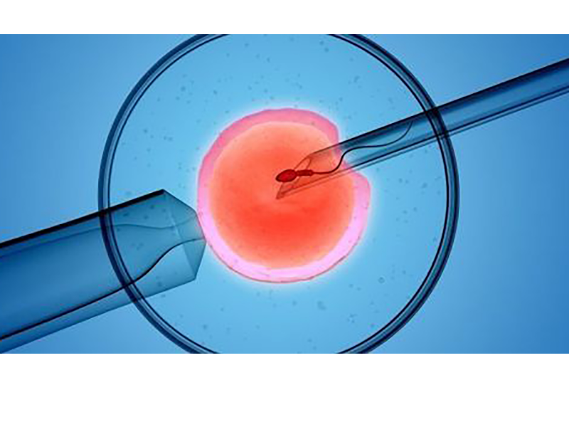 stream Signs blood sperm of in