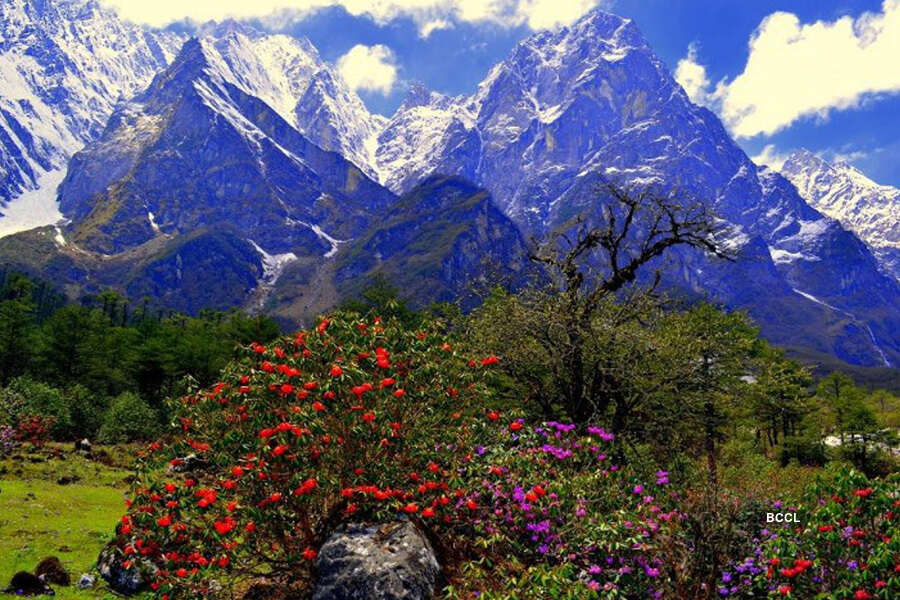 25 most beautiful valleys you must visit in India