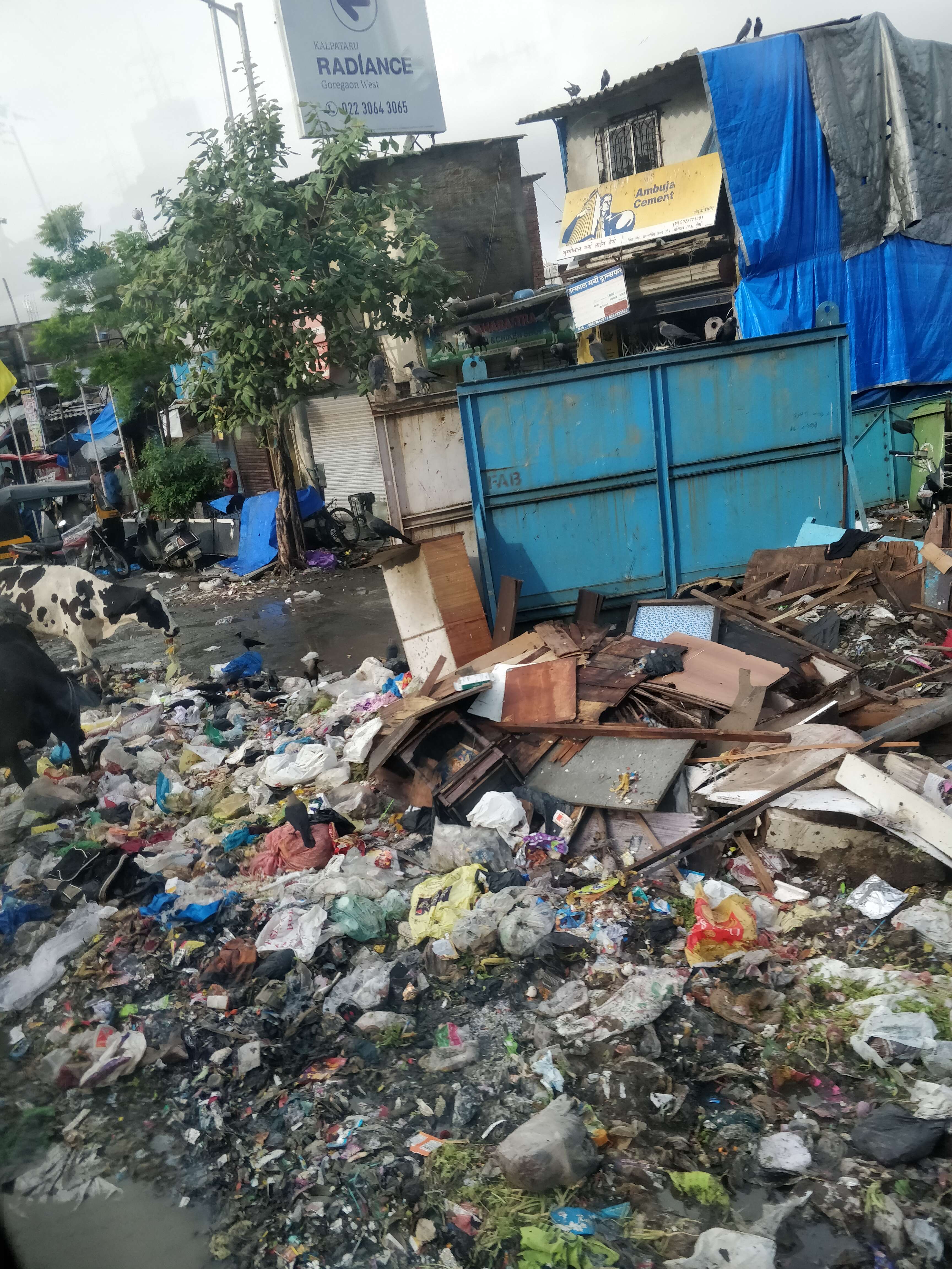 Is Plastic Ban The Real Concern Times Of India