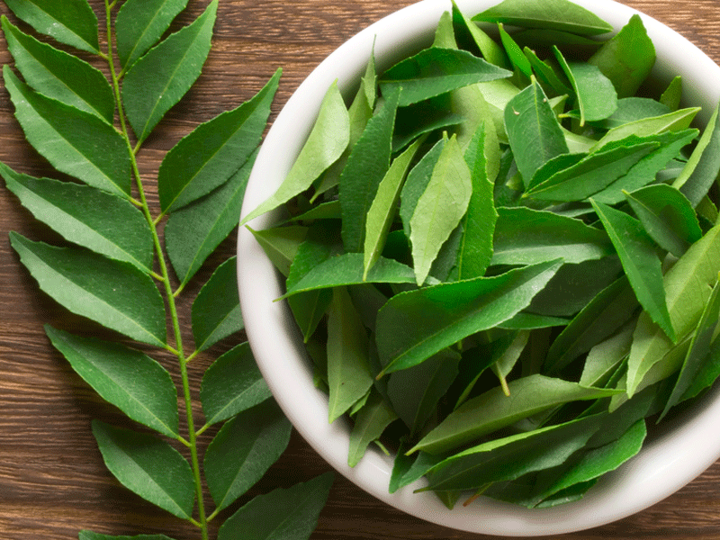 10 reasons you must use curry leaves in your food daily | The ...