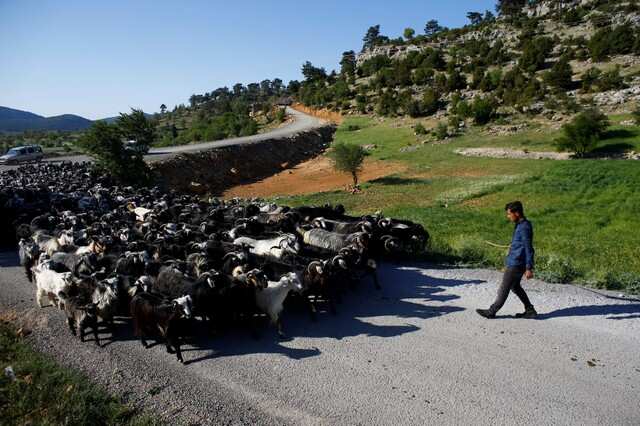 Pictures of Turkey's last nomads roam Anatolia, a region that includes much of Turkey