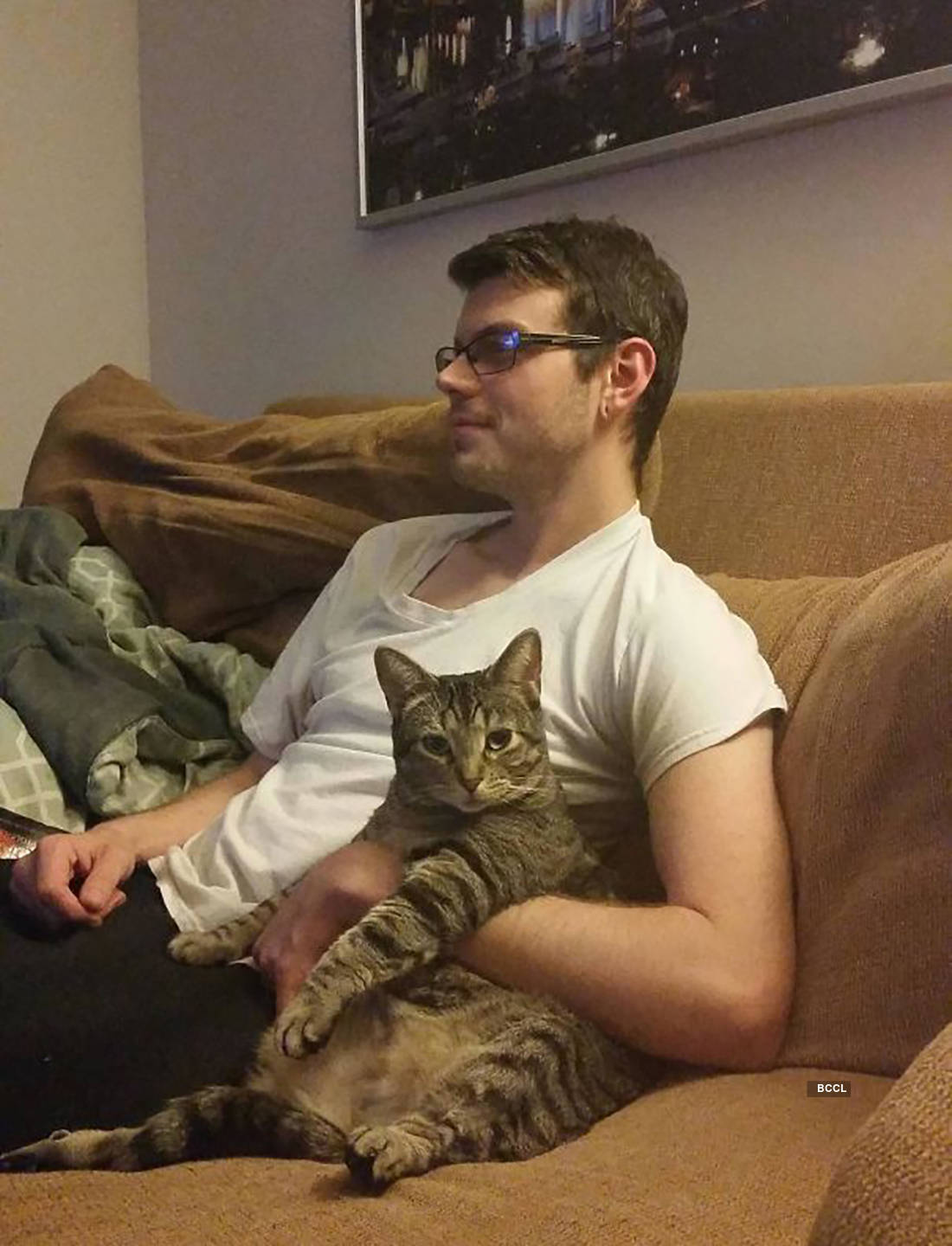 Funny pictures of adorable but cheeky pets who stole their owner’s place