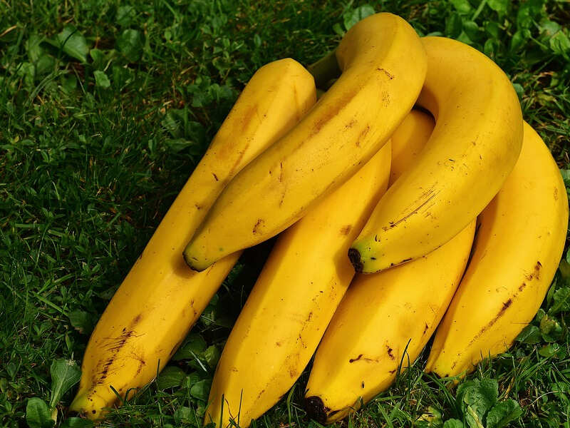 Controls stomach acid