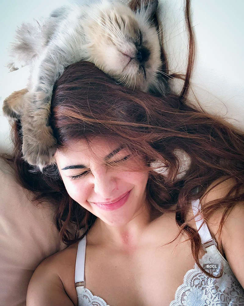 Pictures of celebrities & their pampered pets