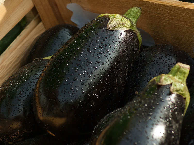 Eggplant In Ass