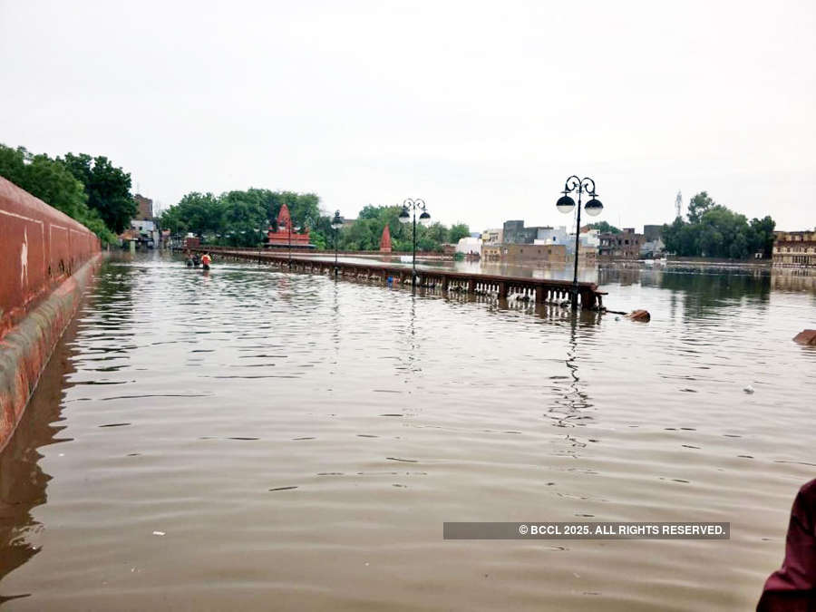 Heavy rain lashes Bikaner, Jaipur