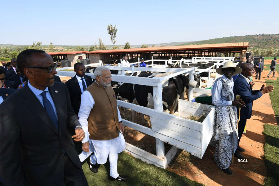 PM Modi donates 200 cows to Rwanda village