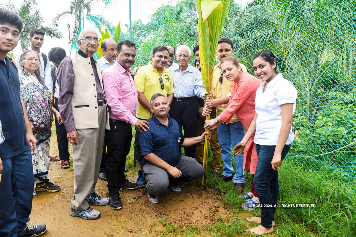 Mumbaikars undertake a coconut plantation drive