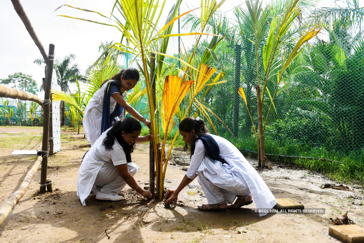 Mumbaikars undertake a coconut plantation drive