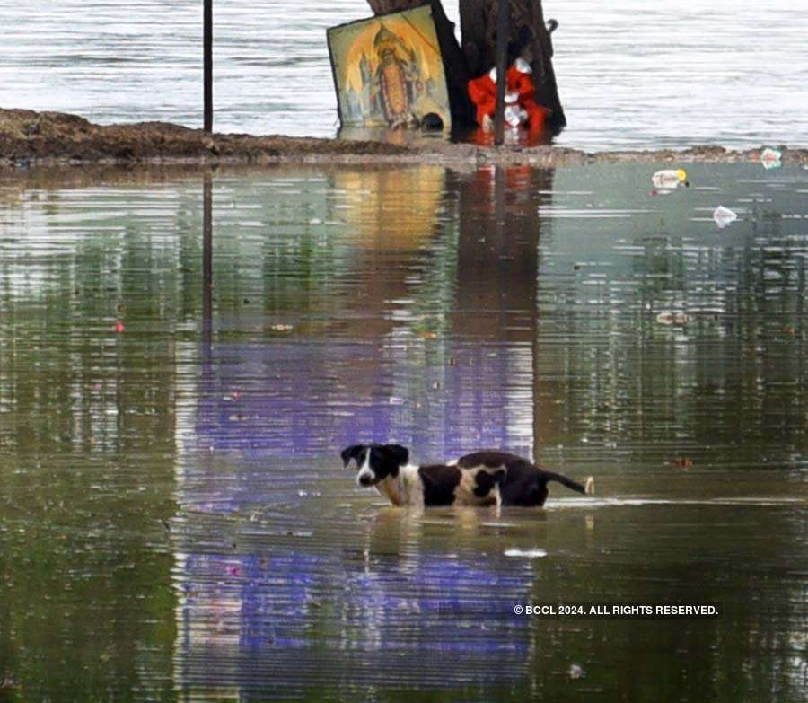 Rising Yamuna leaves thousands homeless