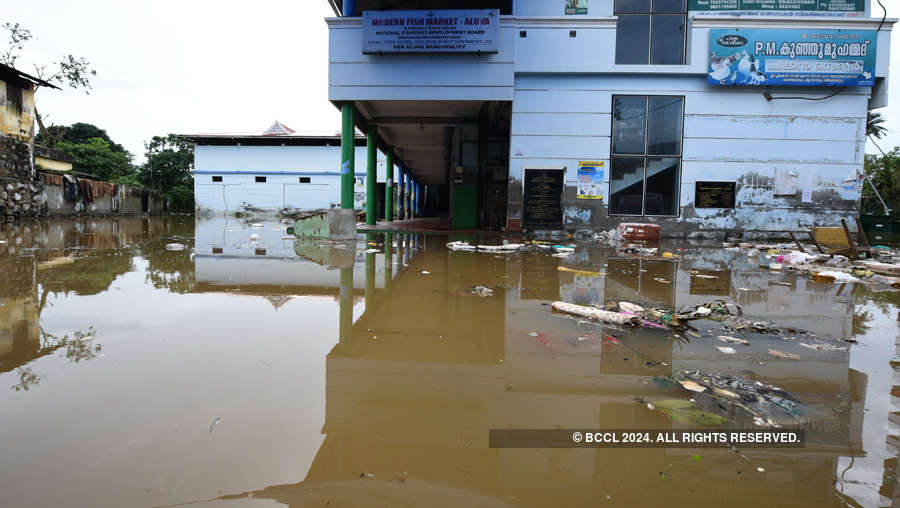 Heavy rains leave a trail of destruction in Kerala