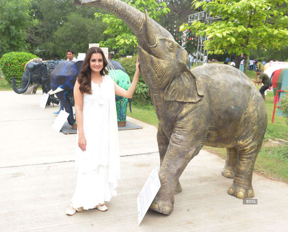 Dia Mirza participates in the Gaj Mahotsav