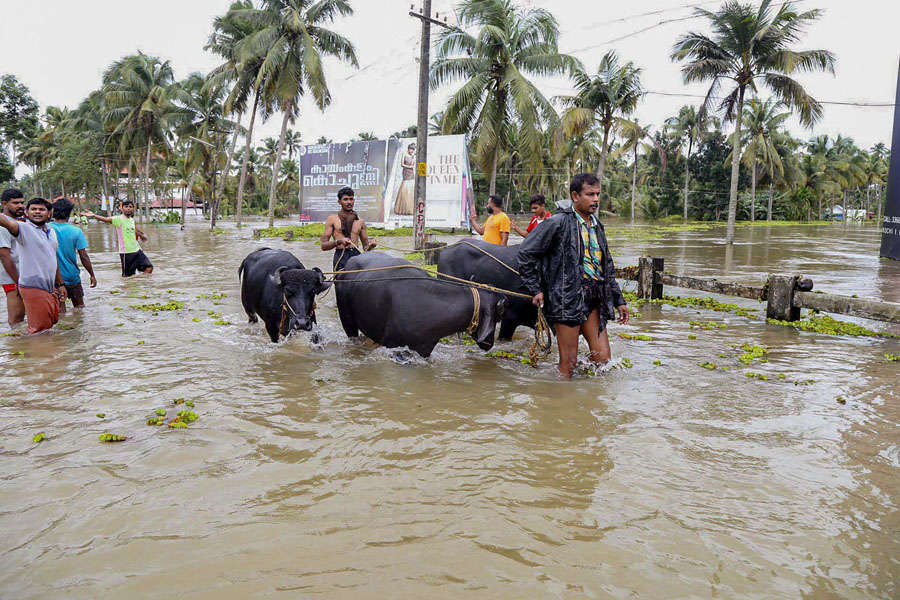 Rescue ops at full throttle in flood-hit Kerala