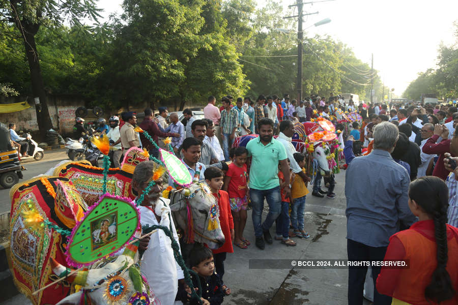 20 colourful pictures of Pola festival celebrations