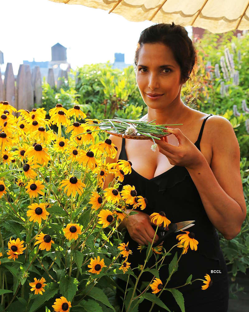 “I was raped at 16 and kept silent”, says Padma Lakshmi