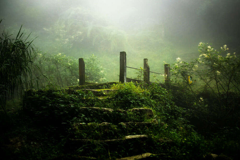 Patalkot in Madhya Pradesh: the ancient gateway to underworld and related stories Patalkot in Madhya Pradesh: the ancient gateway to underworld and related stories