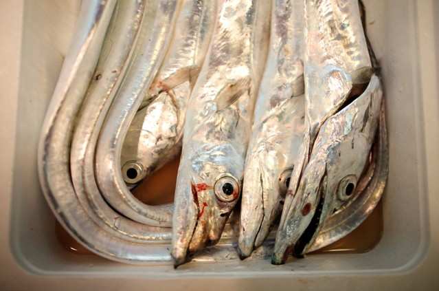 Fishmongers mourn as historic Tsukiji market closes