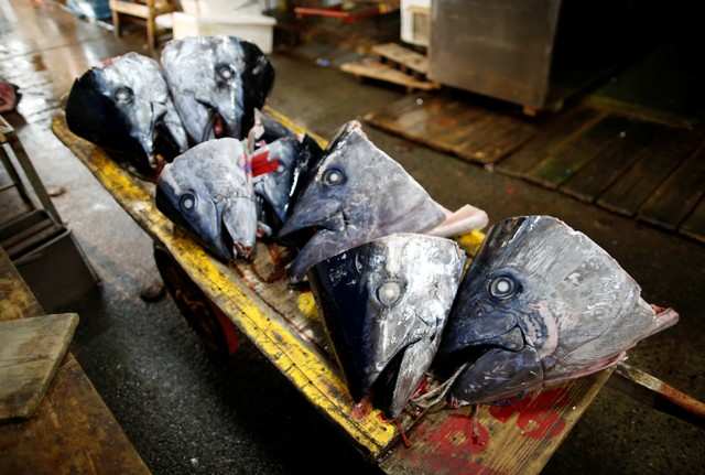 Fishmongers mourn as historic Tsukiji market closes