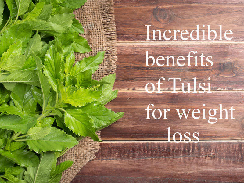 How Tulsi leaves can help you lose weight quickly and naturally