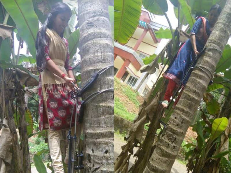 College to train women in climbing coconut trees Kochi News Times