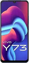 vivo y73 mobile price
