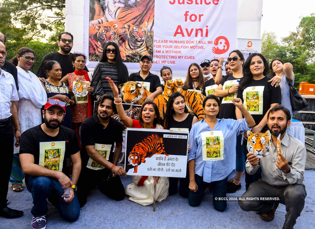 Celebs support 'Let Avni Live' campaign